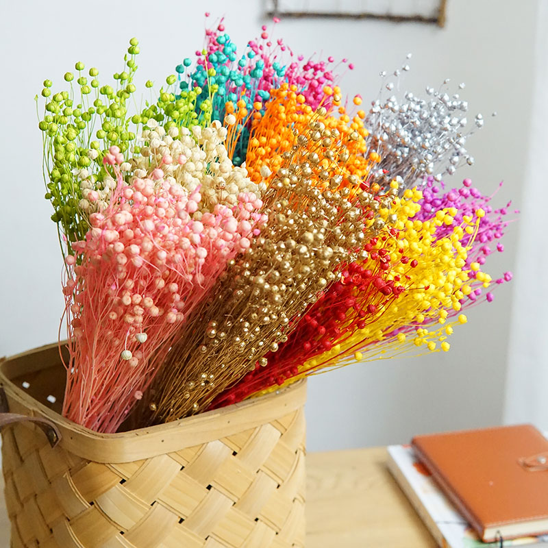 Dried Flower Bulk - 35g/Ormosia Hosiei conservato Fiori veri naturali