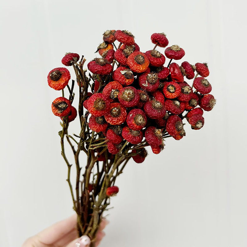 10 Pezzi/Buquet di Fiori di Ro - Dried Flower Bulk recensione e prezzo