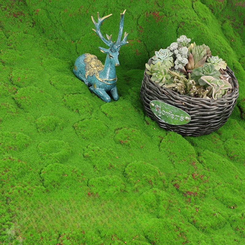Turf artificiale Muschio Simul - Terrarium Moss Art recensione e prezzo